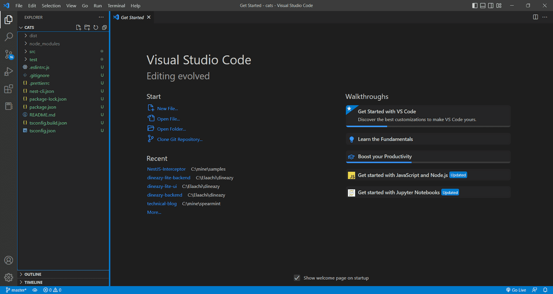 vscode project started